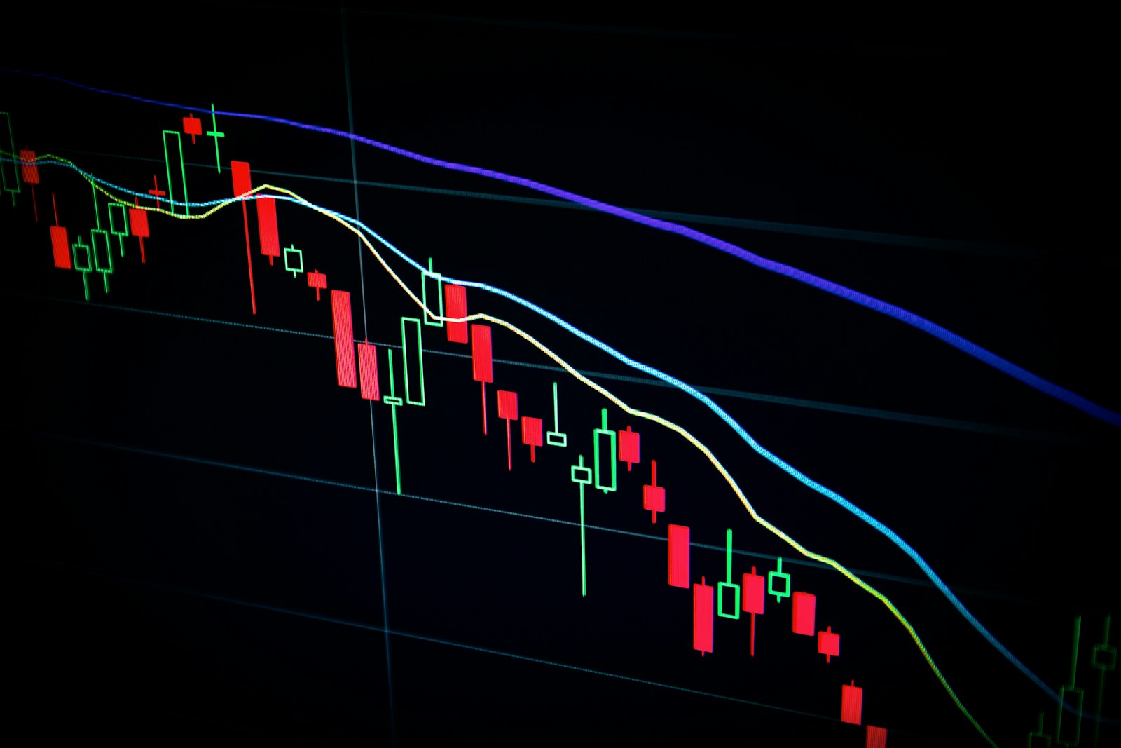 Investor reviewing markets
